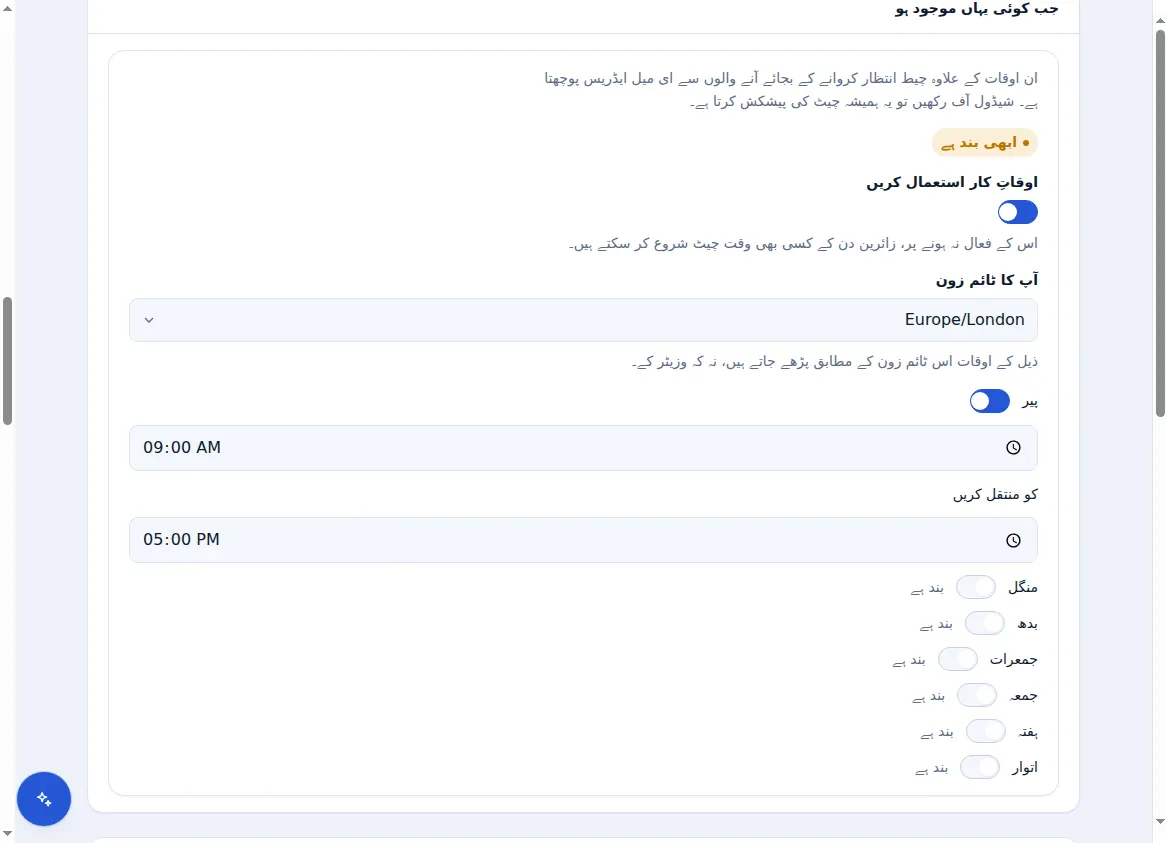Zinn® Chat کی ترتیبات میں کھلنے کے اوقات: ایک ٹائم زون اور ایک سوئچ اور ہر دن کے لیے اوقات
